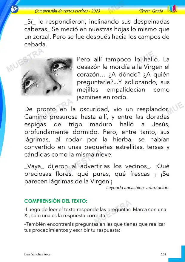 Muestra de 33 - Lagrimas de la Virgen