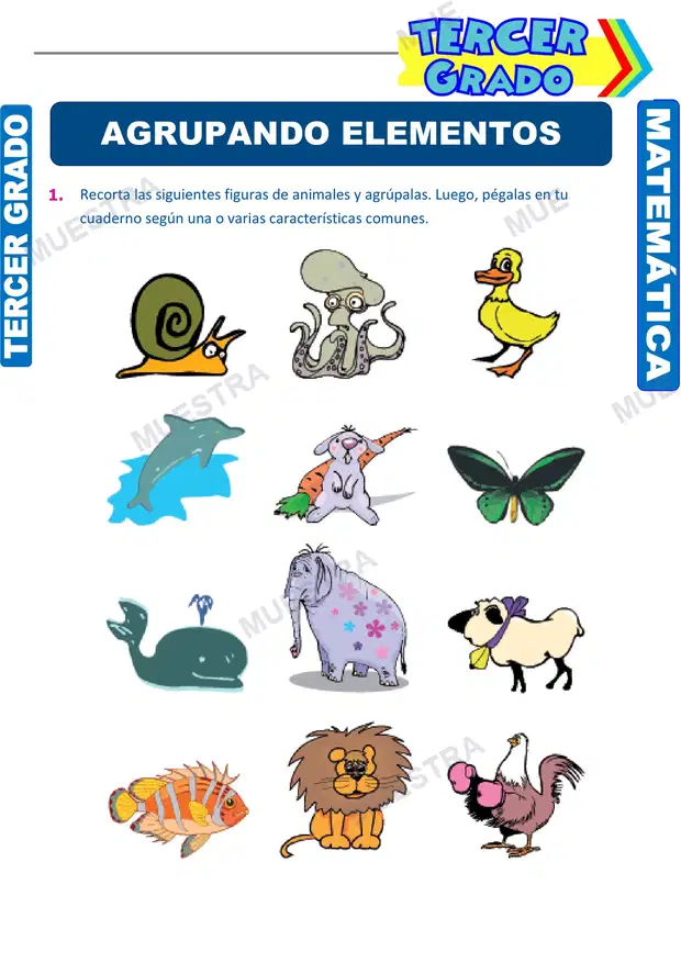 Agrupación de Elementos y Formación de Conjuntos (2)