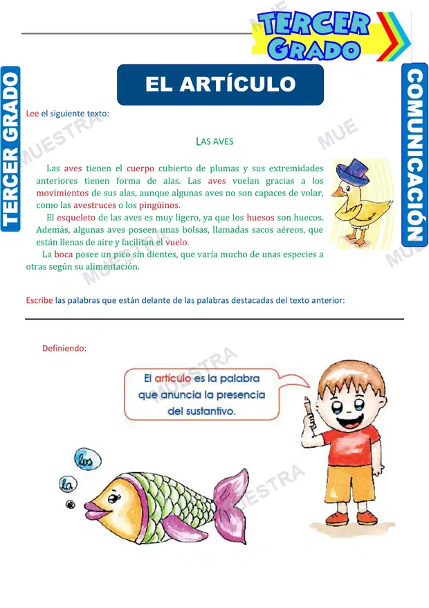 Contracción y Concordancia del Artículo