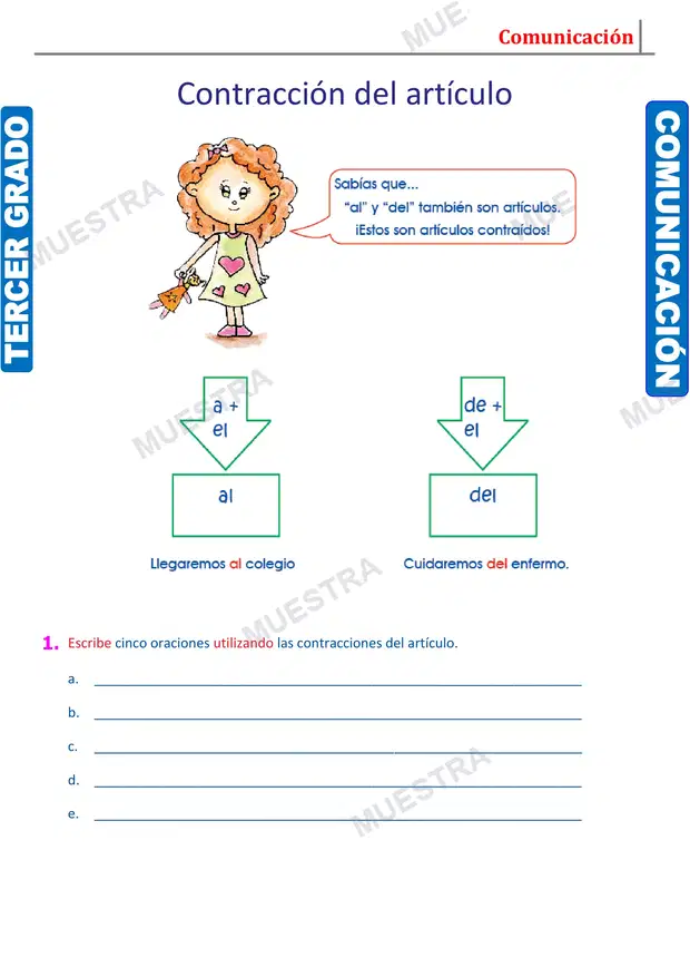 Muestra de Contracción y Concordancia del Artículo