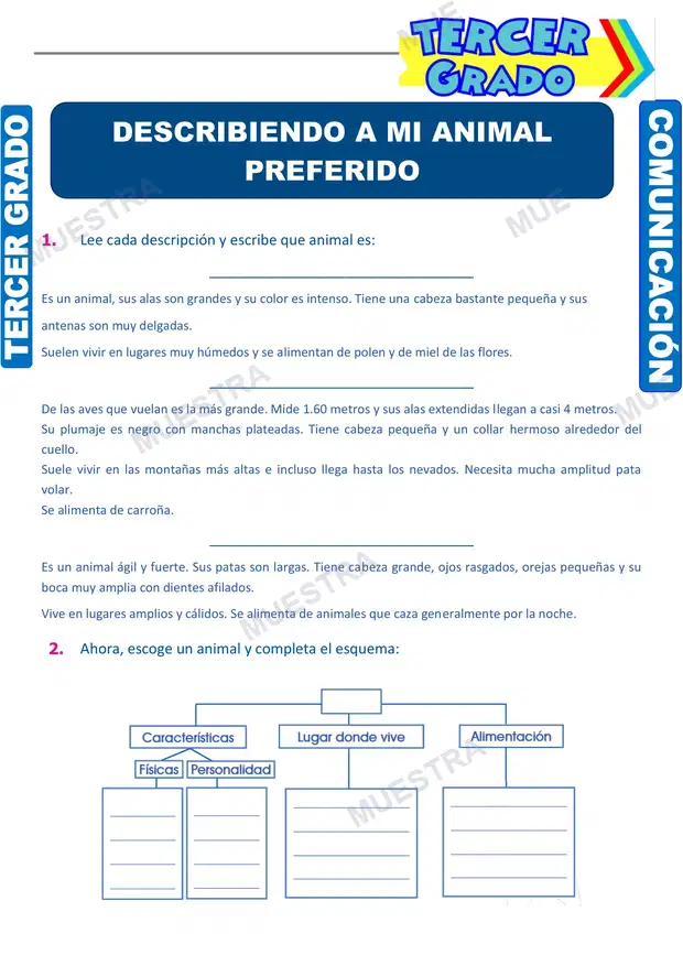 Describiendo a un Animal