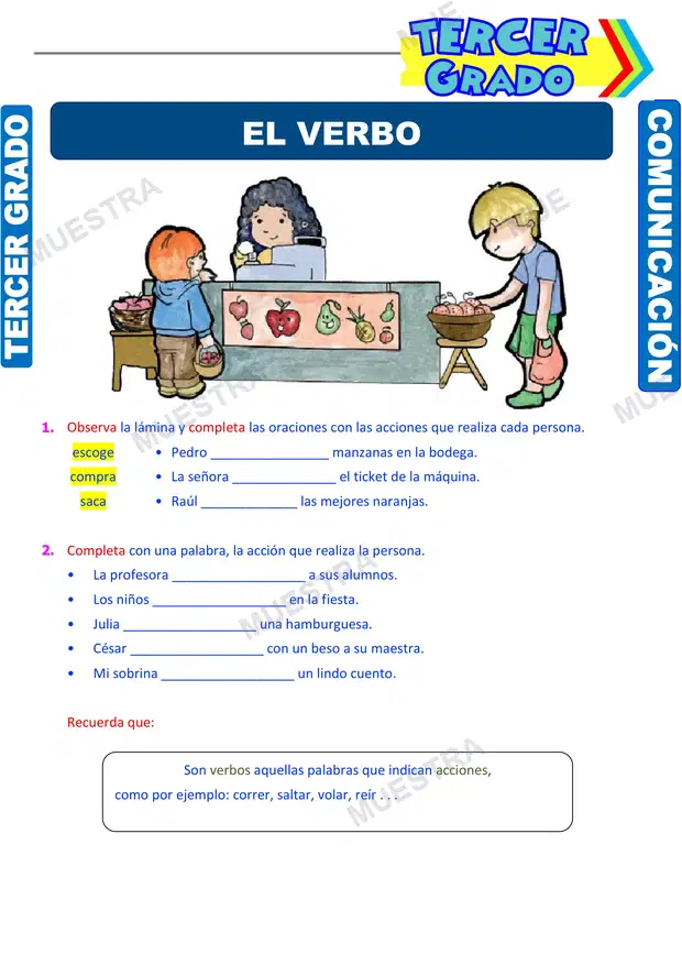 El Verbo y los Tiempos Verbales