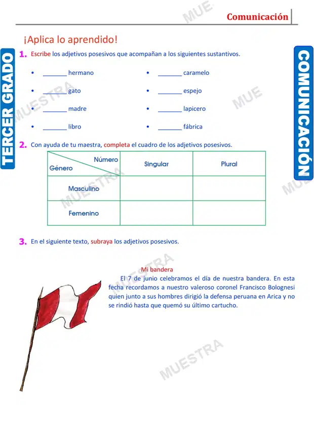 Muestra de Los Adjetivos Posesivos