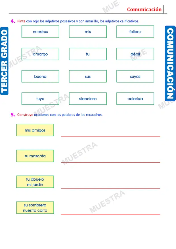 Muestra de Los Adjetivos Posesivos