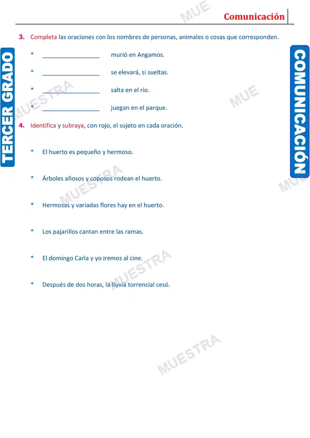 Muestra de Núcleo y Modificadores del Sujeto