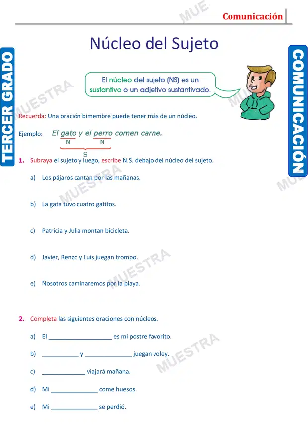 Muestra de Núcleo y Modificadores del Sujeto