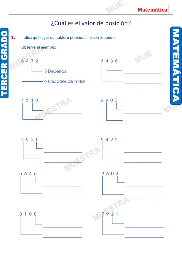 Muestra de Representación Gráfica de los Números (2)