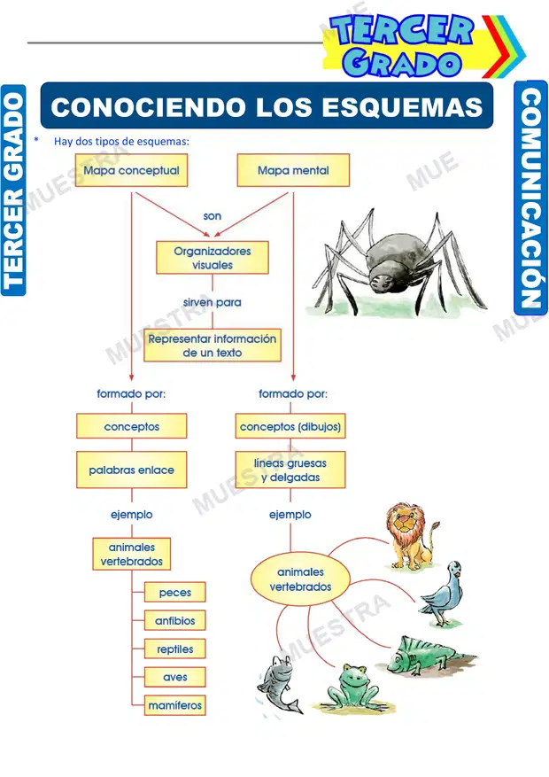 Tipos de Esquemas