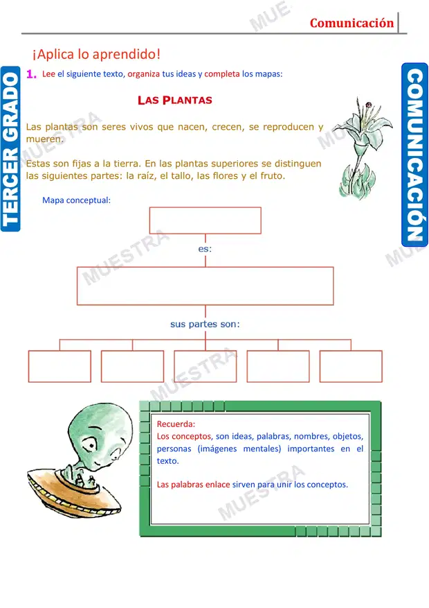 Muestra de Tipos de Esquemas