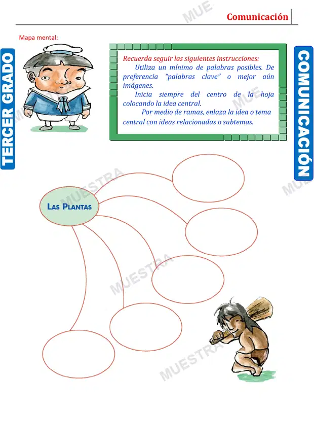 Muestra de Tipos de Esquemas