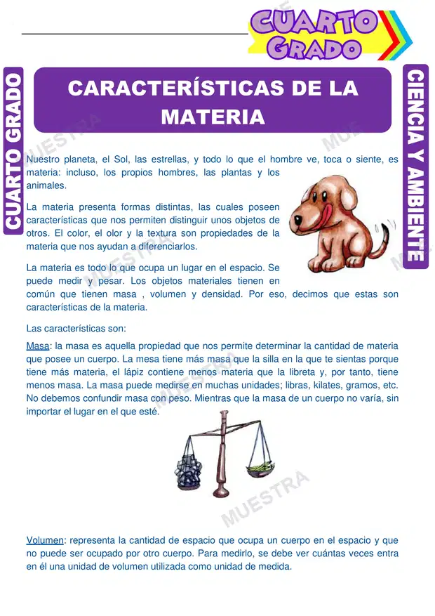 Características de la Materia