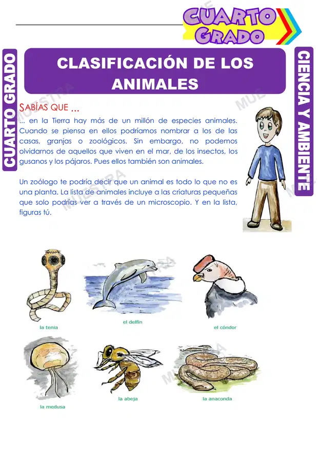 Clasificación de los Animales