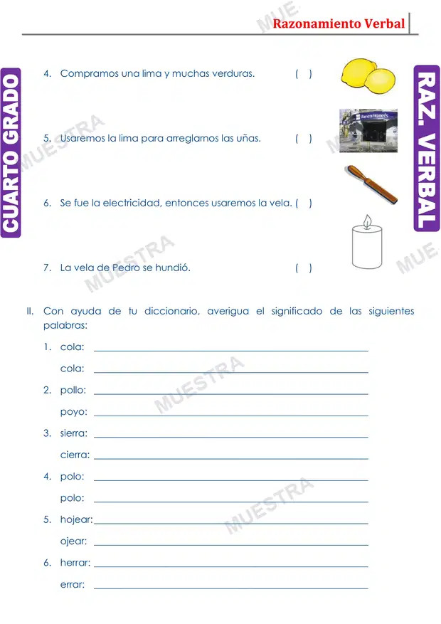 Muestra de Clasificación de los Homónimos