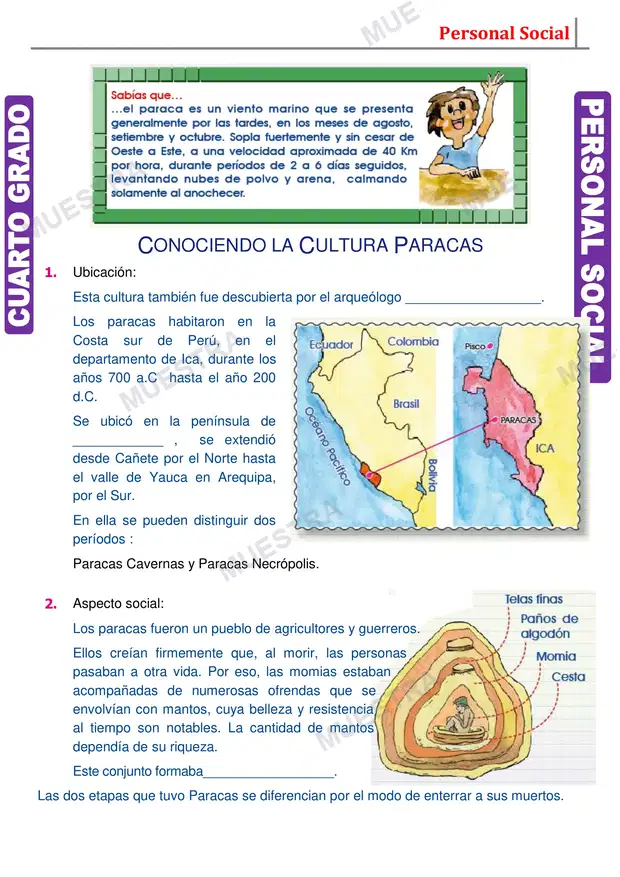 Muestra de Cultura Paracas Resumen