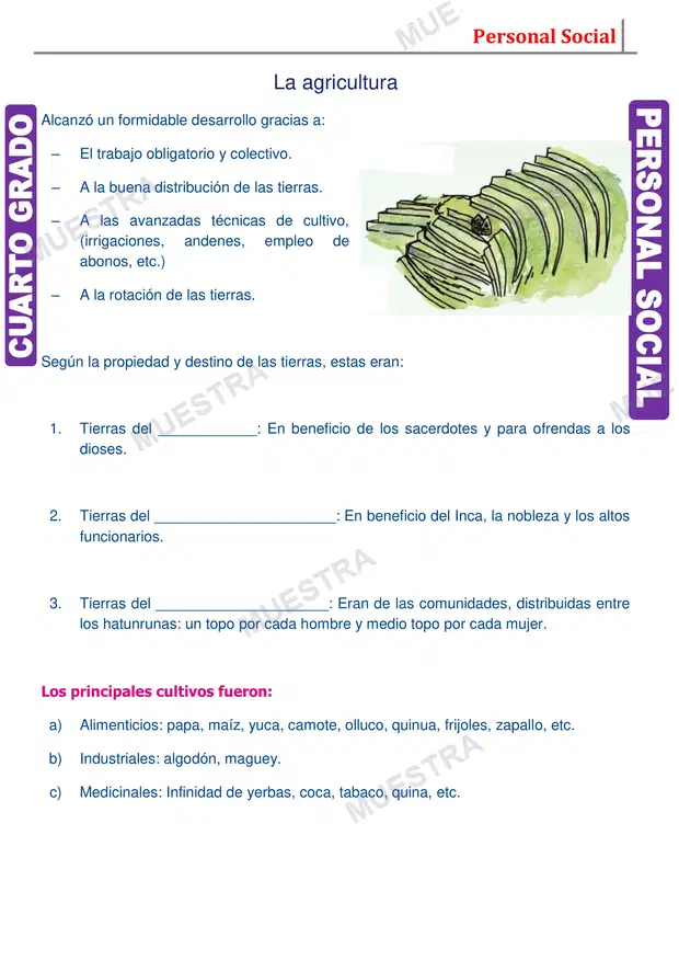 Muestra de Economía en el Tahuantinsuyo