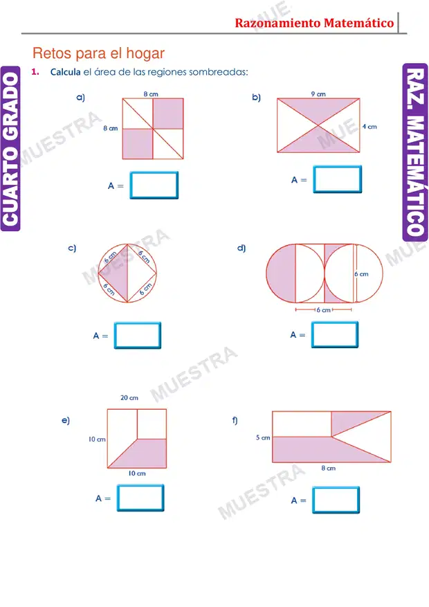 Muestra de Ejercicios con Áreas