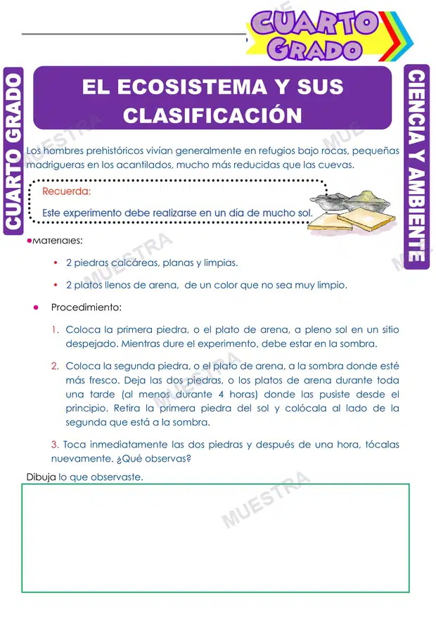El Ecosistema y sus Clasificación