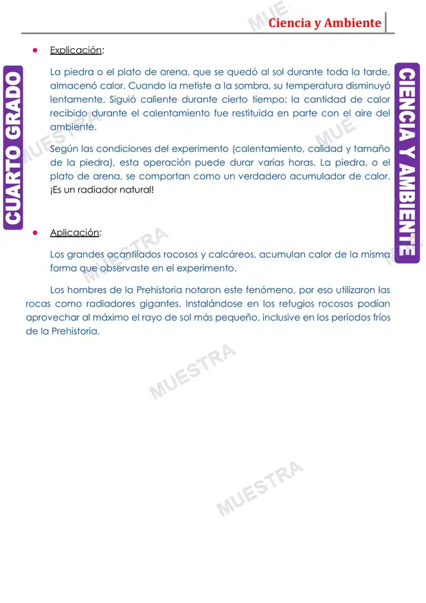 Muestra de El Ecosistema y sus Clasificación