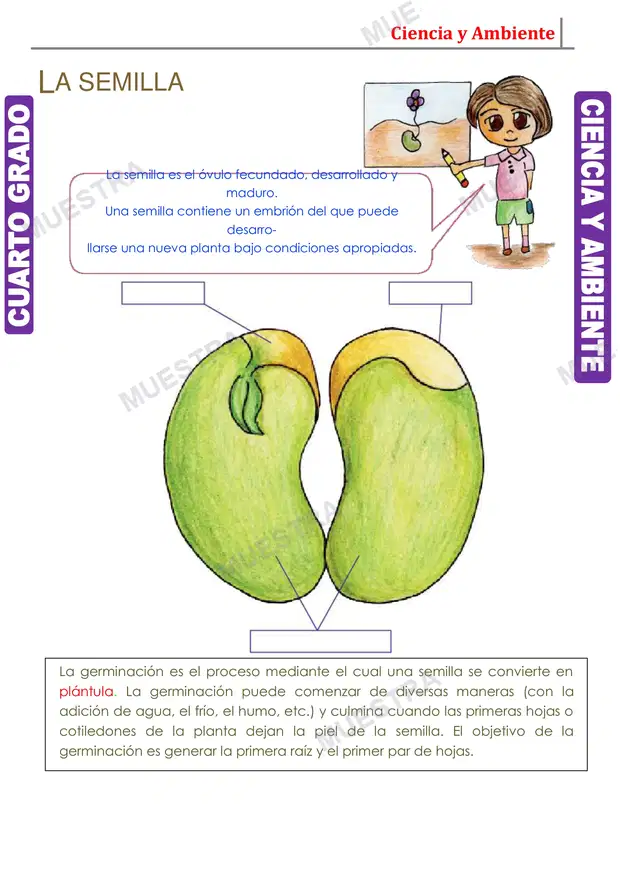 Muestra de El Fruto