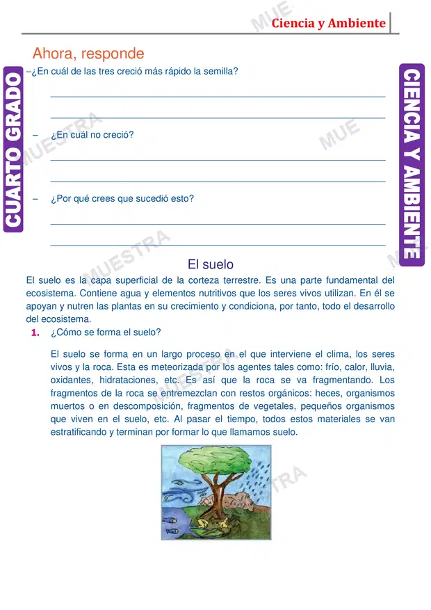 Muestra de El Suelo