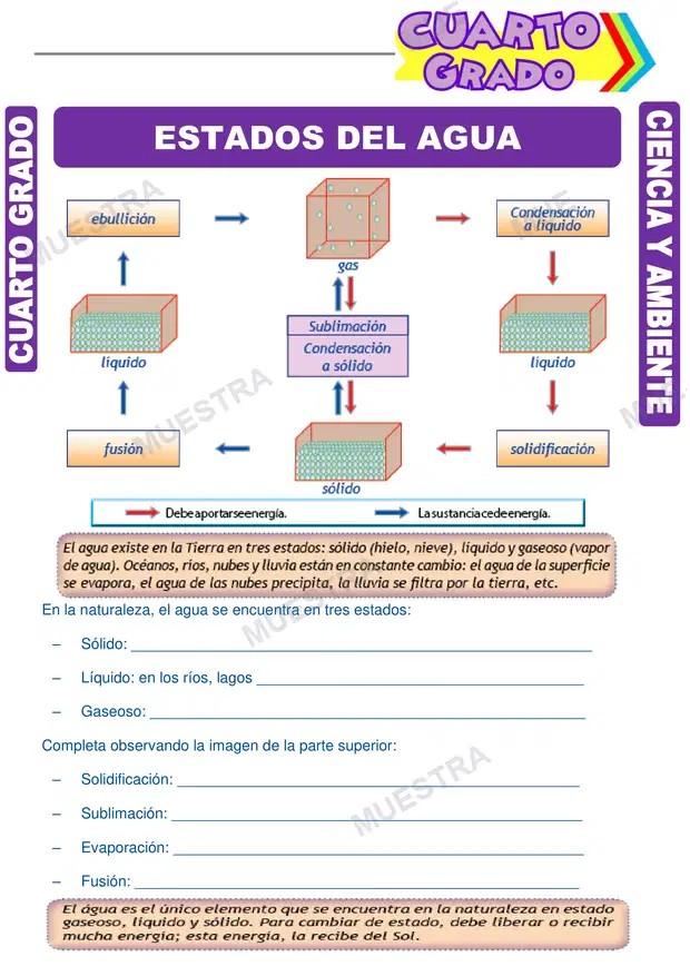 Estados del Agua