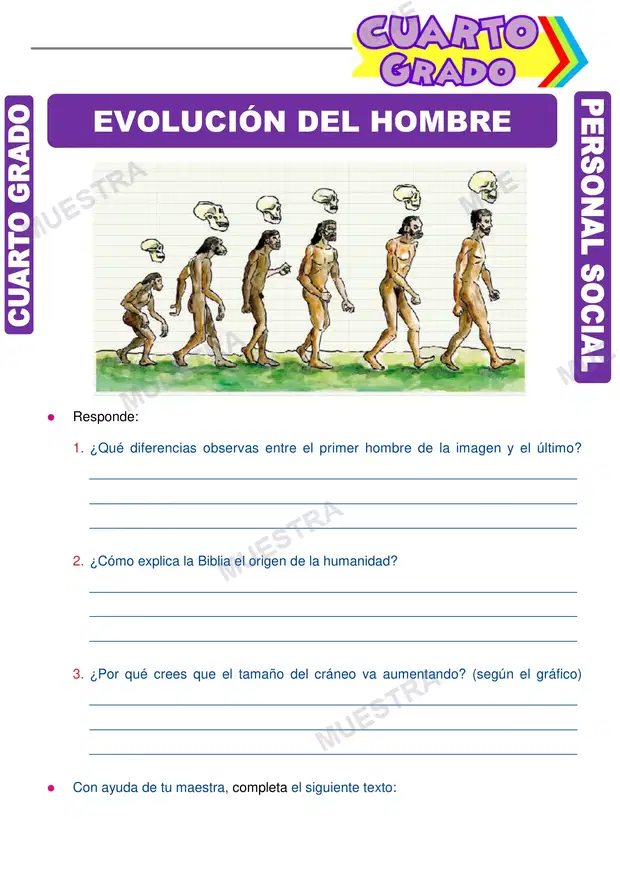 Evolución del Hombre