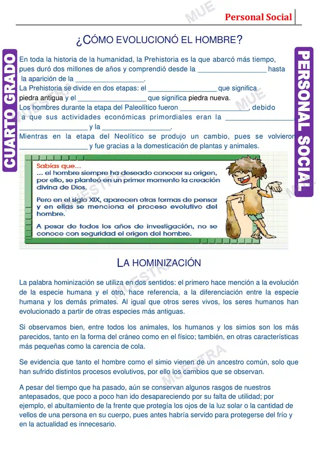 Muestra de Evolución del Hombre