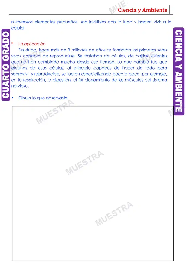 Muestra de La Célula