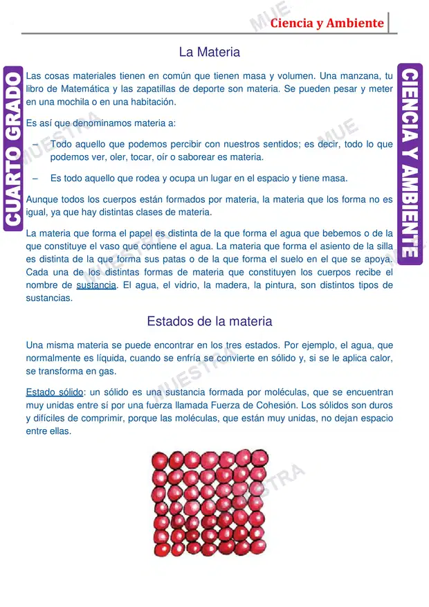 Muestra de La Materia