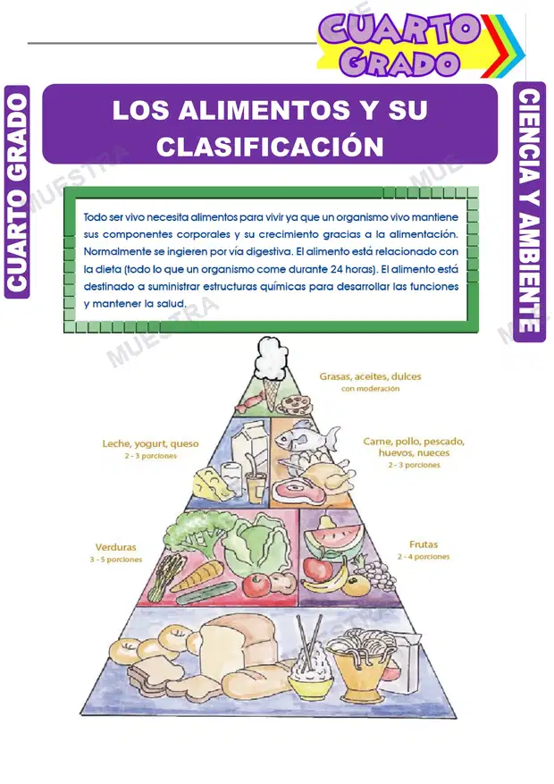 Los Alimentos y su Clasificación