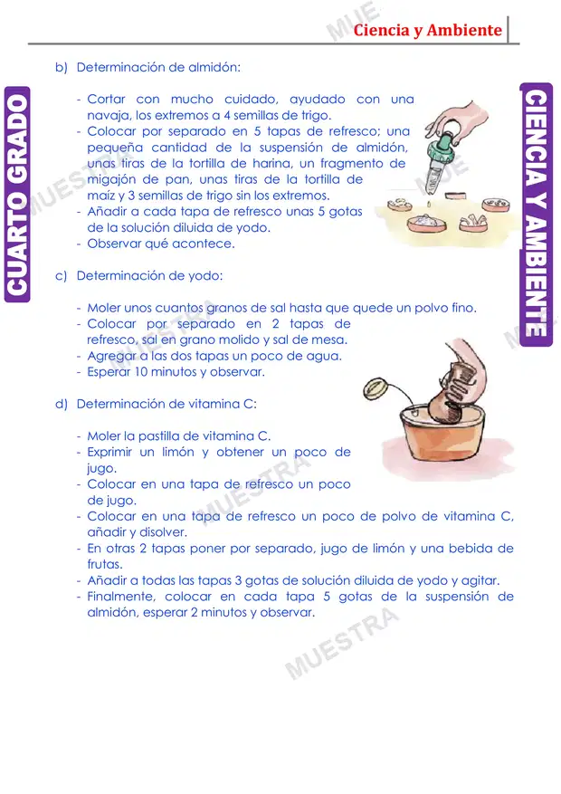 Muestra de Los Alimentos y su Clasificación