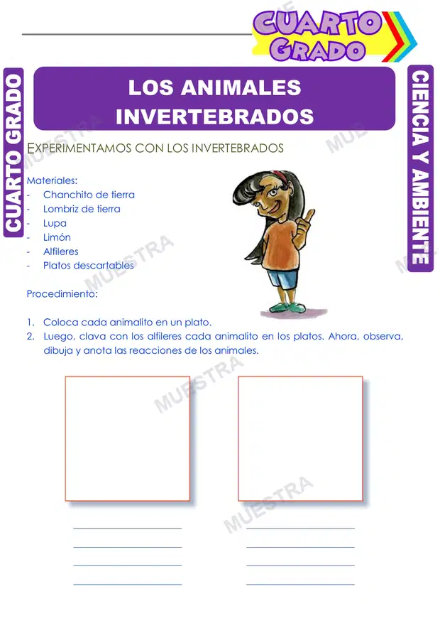 Los Animales Invertebrados