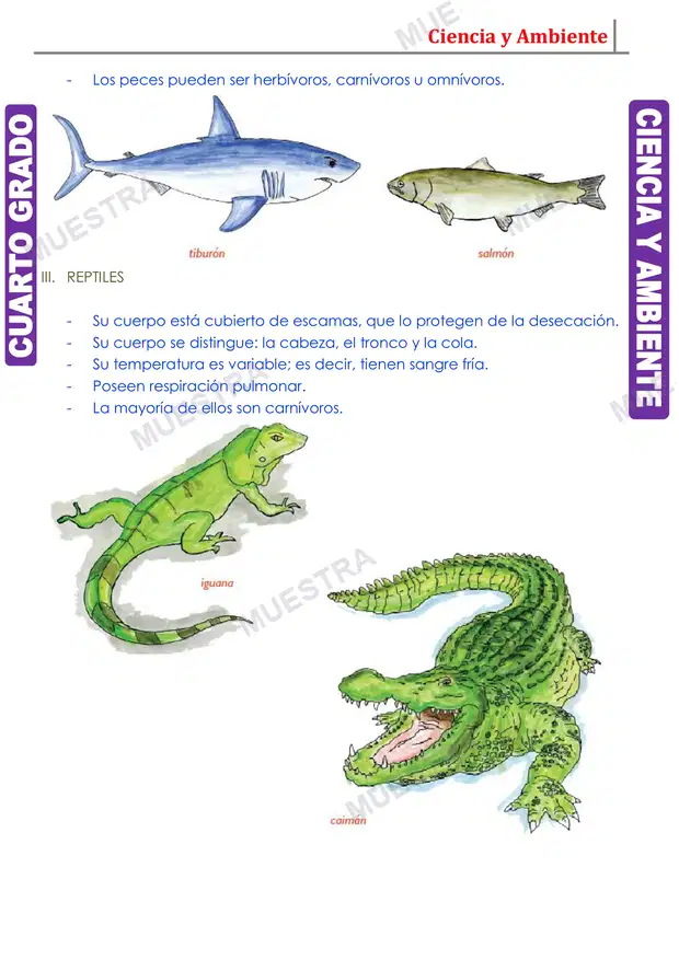 Muestra de Los Animales Vertebrados