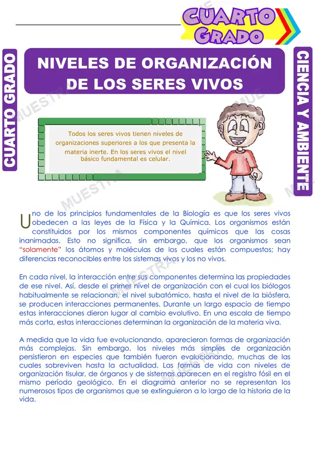Niveles de Organización de los Seres Vivos
