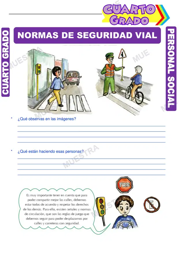 Normas de Seguridad Vial