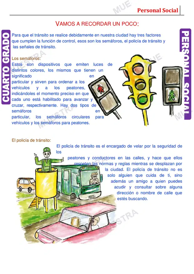 Muestra de Normas de Seguridad Vial