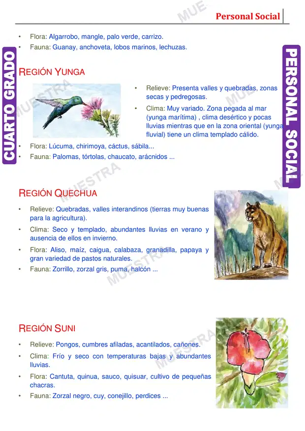Muestra de Ocho Regiones Naturales del Perú