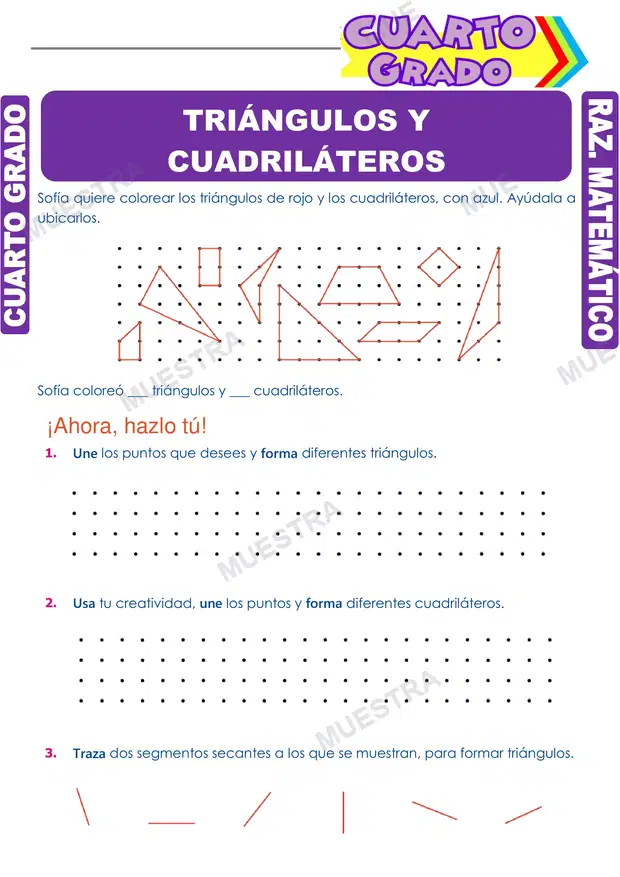 Triángulos y Cuadriláteros