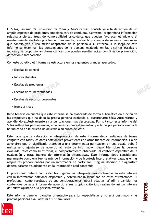 Muestra de PERFIL - INFORME PROFESIONAL