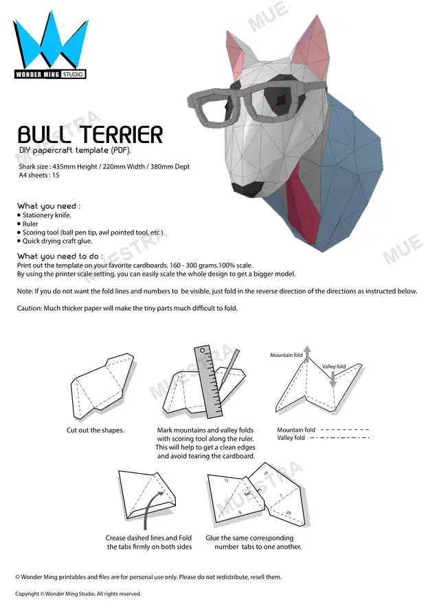 Bull Terrier Guia