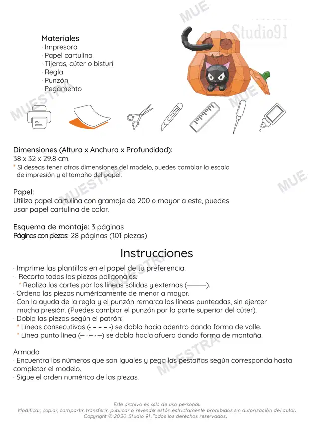 Muestra de calabaza con gato