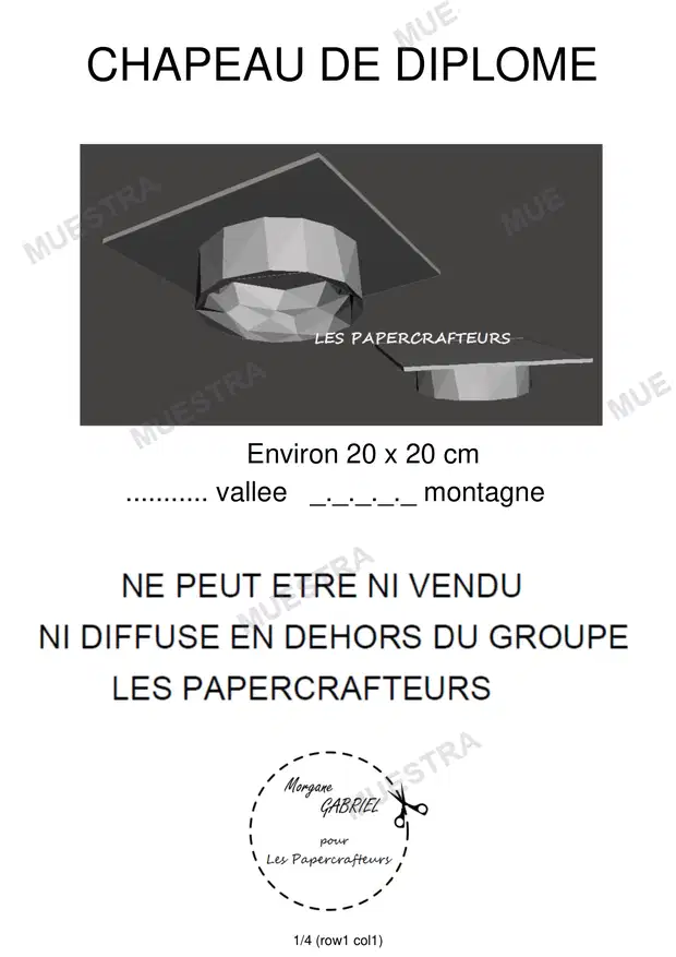chapeau_diplome