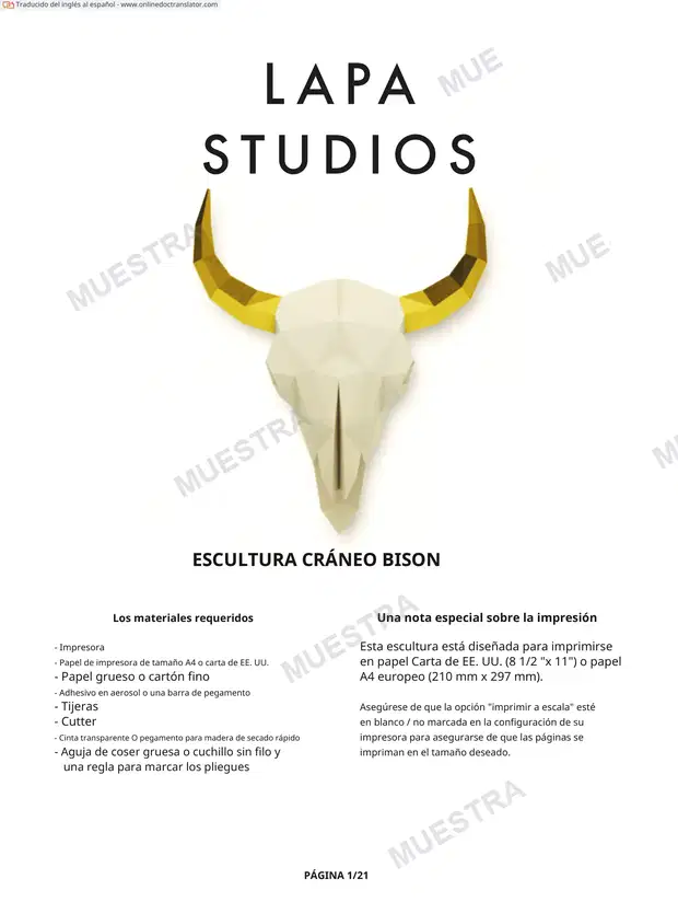 Cráneo Bisón