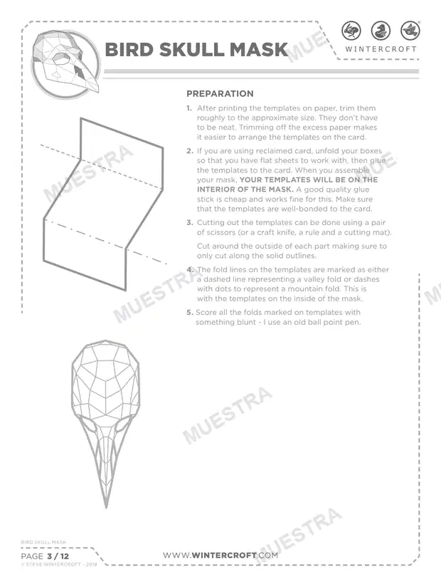 Muestra de Máscara Cráneo de Ave (Wintercroft WC109)