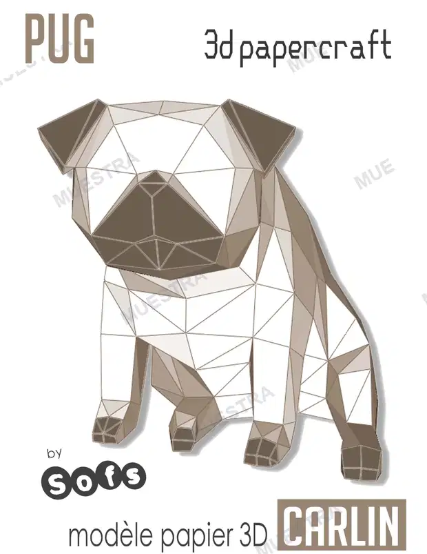 Muestra de Pug 2