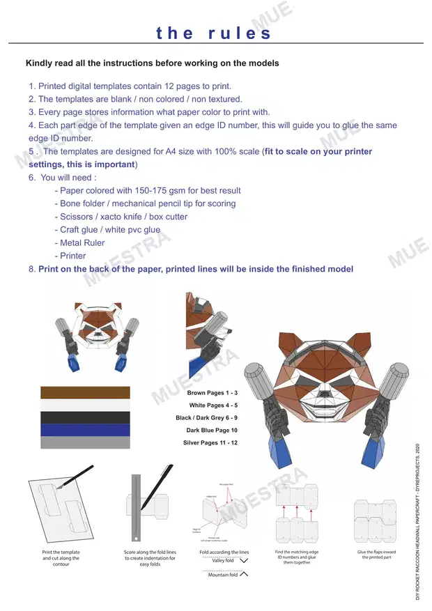RocketRaccoonInstruction(1)