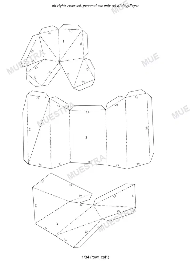 tiburon martillo template