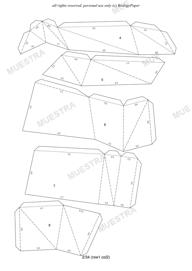 Muestra de tiburon martillo template