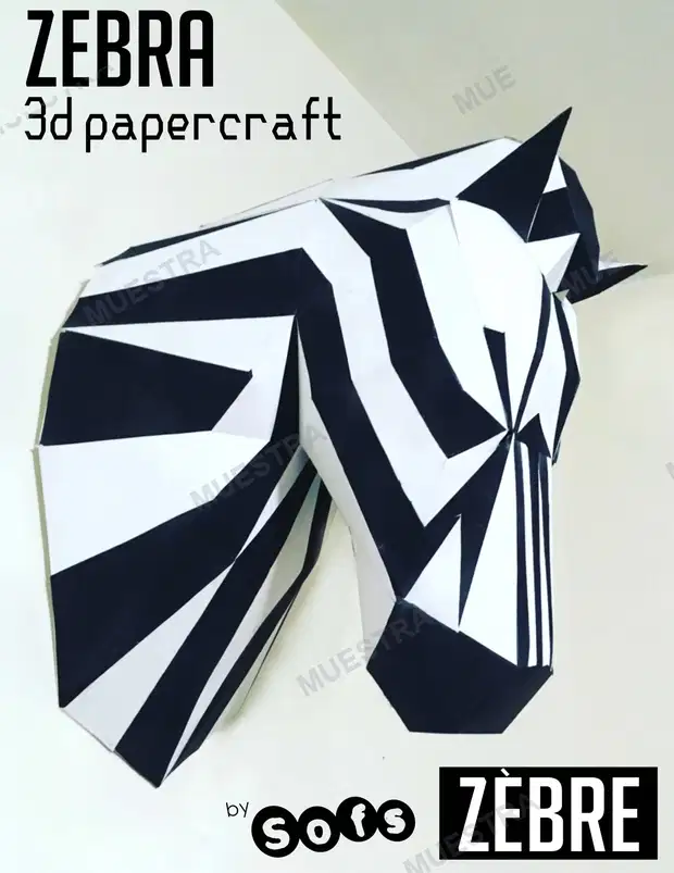 Zebra Trofeo